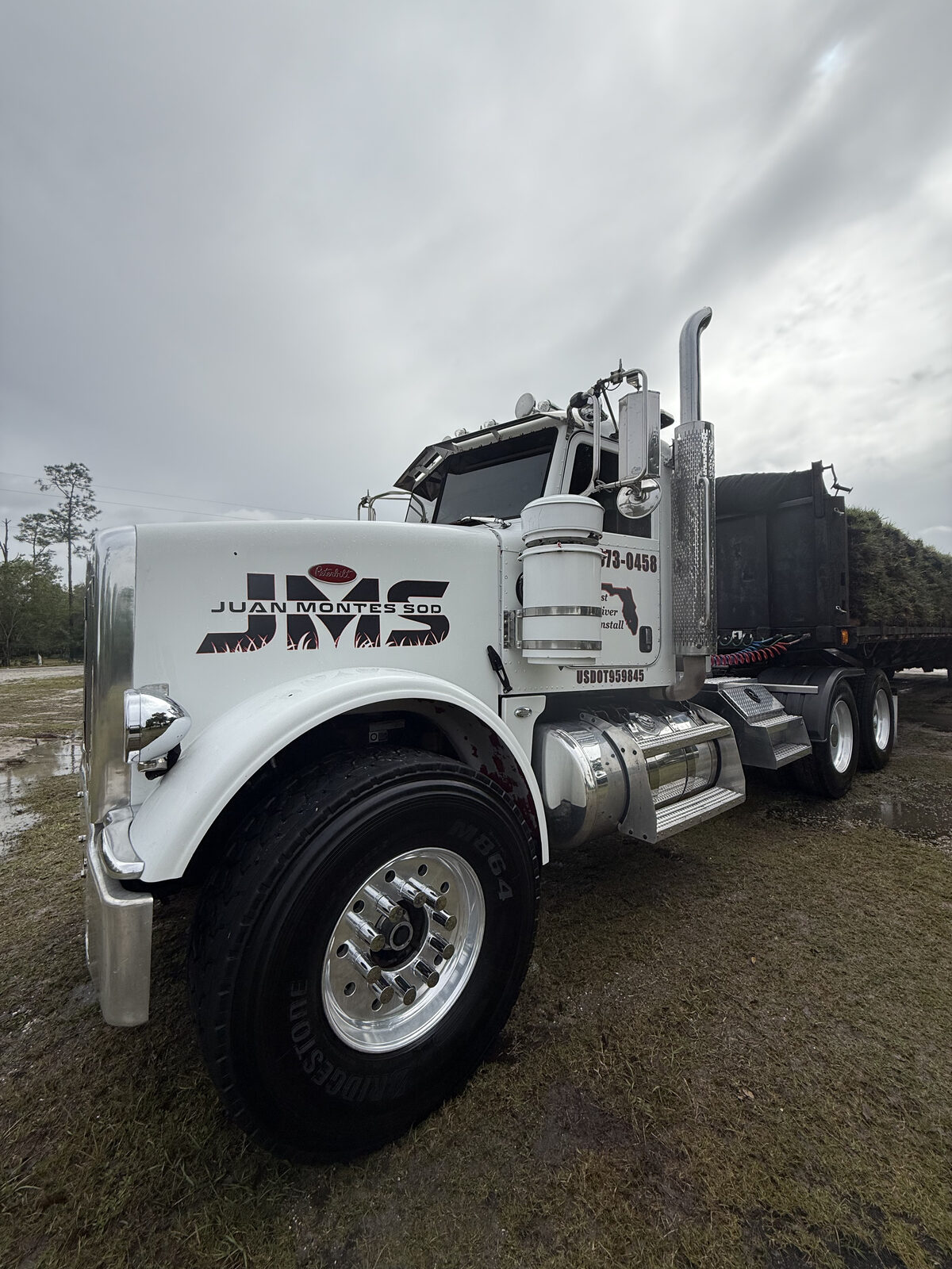 Polished semi-truck